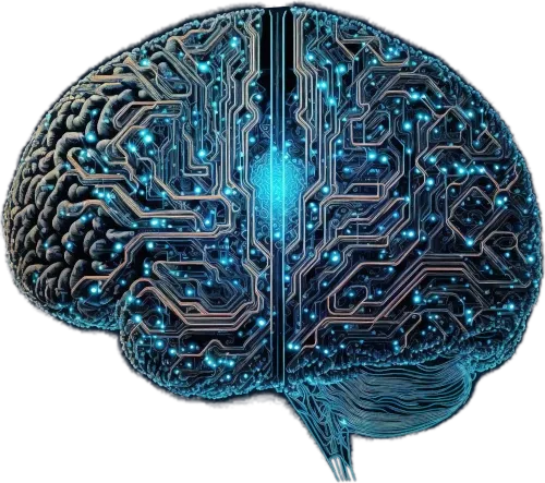 Digital visualization of neural pathways in the brain